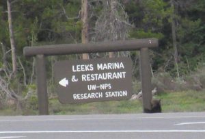 A bear cub holding on to the UW-NPS road sign