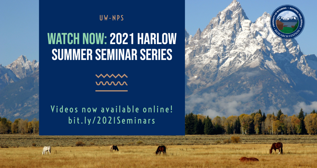 2021 Seminars Now Available Online!